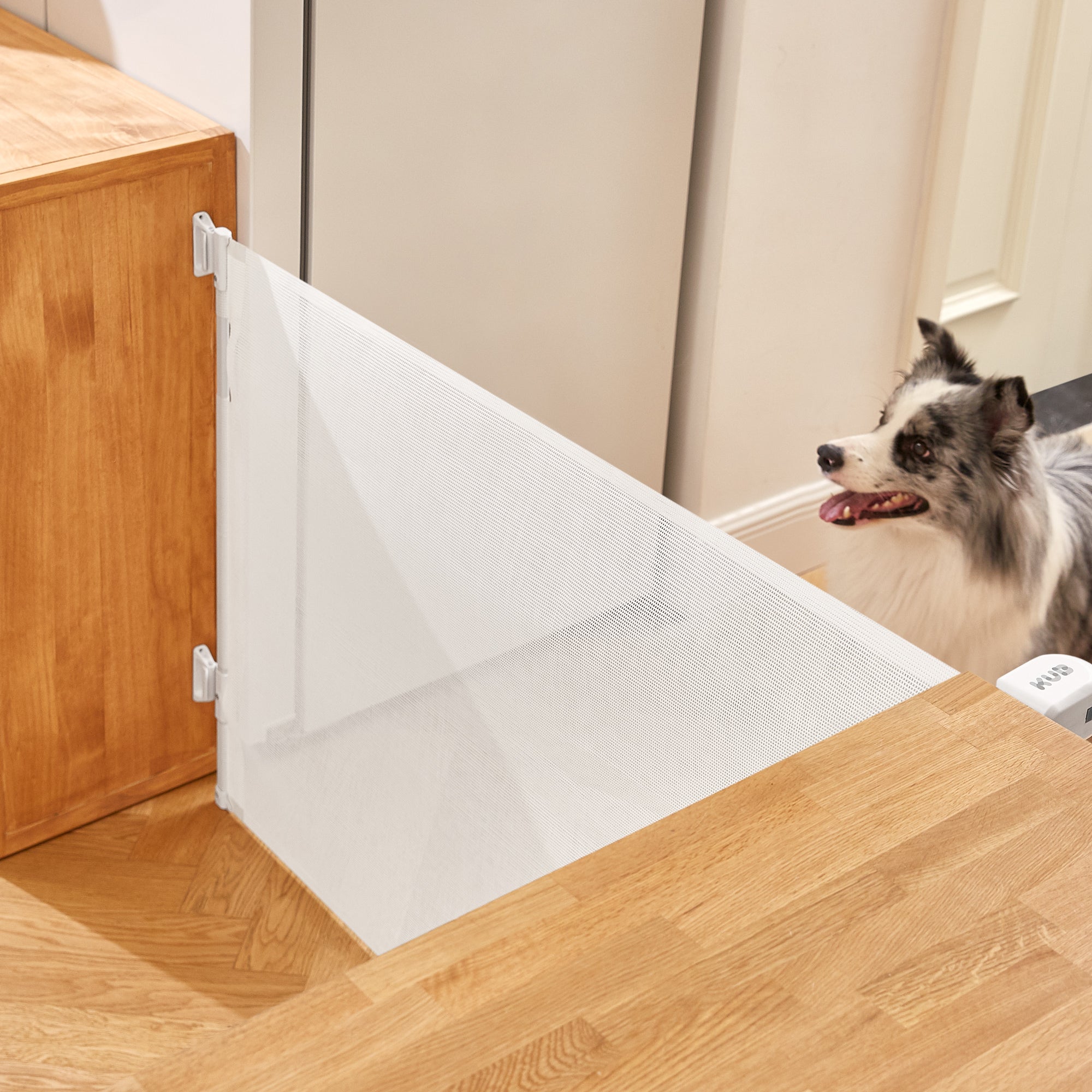 Retractable Baby Gate
